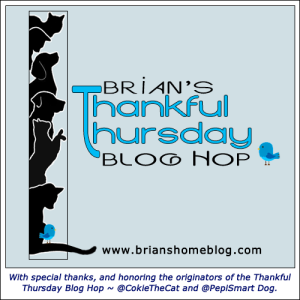 BriansHome-ThankfulThursday-BlogHop