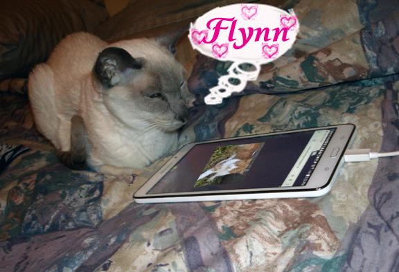 Nellie on the tablet
