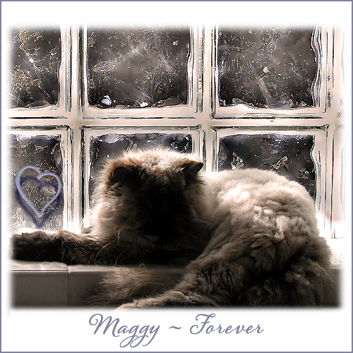 MAGGY Forever 5.2.2019